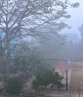 Moradabad News: सुबह कोहरे की चादर, दिन में धूप से मिली राहत