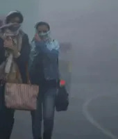 प्रदेश में कड़ाके की सर्दी का कहर, घने कोहरे से जनजीवन प्रभावित