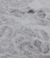 राजस्थान में छह अप्रैल से फिर बदलेगा मौसम, आंधी-बारिश और ओलावृष्टि के आसार