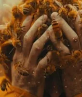 अलीगढ़ में दर्दनाक हादसा : मधुमक्खियों के हमले में किसान की मौत