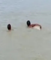 Ballia News : श्रीरामपुर घाट पर स्नान के दौरान तीन किशोर गंगा में डूबे, मची अफरा-तफरी