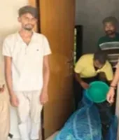 गोरखपुर में एसटीएफ की बड़ी कार्रवाई, 100 प्रतिबंधित तोतों के साथ वन्यजीव तस्कर गिरफ्तार