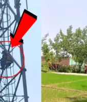 Rampur News: प्रेमी से शादी की जिद पर मोबाइल टावर पर चढ़ी युवती, घंटों मशक्कत के बाद उतारा गया नीचे
