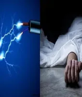 Ballia News : पेड़ पर लकड़ी काटने चढ़े बुजुर्ग की करंट लगने से मौत, परिवार में मचा कोहराम