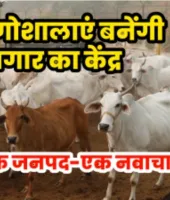UP News: गोशालाओं से बढ़ेगा रोजगार, हर जिले में विकसित होगा अलग गो-आधारित उद्योग