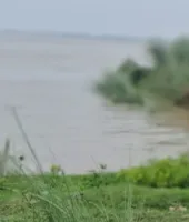 गंगा के जलस्तर में फिर तेजी, तीन सेंटीमीटर प्रति घंटे की रफ्तार से बढ़ रहा पानी