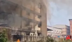 वापी के वाइब्रेंट इंडस्ट्रियल पार्क की कंपनी में आग, दो कर्मचारी झुलसे