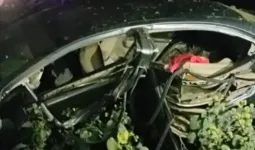 रायबरेली में सड़क हादसा: तेज रफ्तार कार पेड़ से टकराई, तीन दोस्तों की मौत