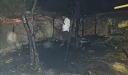 Ballia News : अकोल्ही गांव में आग का कहर, पांच झोपड़ियां जलकर राख; दो लोग झुलसे