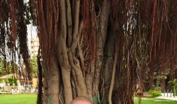 दर्द की जड़ तक पहुँचना क्यों आवश्यक है