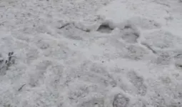 राजस्थान में छह अप्रैल से फिर बदलेगा मौसम, आंधी-बारिश और ओलावृष्टि के आसार