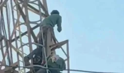 शादी की जिद में मोबाइल टावर पर चढ़ी युवती, घंटों चला हाईवोल्टेज ड्रामा