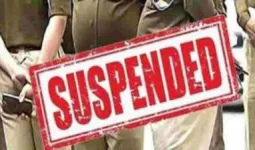 सुलतानपुर में गोमांस मामले में बड़ी कार्रवाई, इंस्पेक्टर समेत तीन पुलिसकर्मी निलंबित