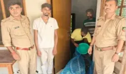 गोरखपुर में एसटीएफ की बड़ी कार्रवाई, 100 प्रतिबंधित तोतों के साथ वन्यजीव तस्कर गिरफ्तार