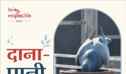 बेज़ुबानों को पिला रहे पानी, ‘दाना-पानी’ अभियान बना इंसानियत की मिसाल