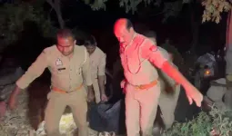 बहराइच में भीषण सड़क हादसा: कंबाइन मशीन से टकराई कार, चार की मौत, दो गंभीर