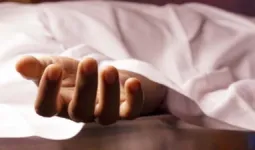 Hardoi News : हरदोई में ईंट भट्टे के गड्ढे में डूबने से मासूम भाई-बहन की मौत