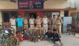 सतना में चंदन चोर गिरोह का पर्दाफाश, 3 महिलाओं समेत 6 गिरफ्तार; 7 वारदातों का खुलासा