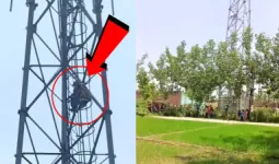 Rampur News: प्रेमी से शादी की जिद पर मोबाइल टावर पर चढ़ी युवती, घंटों मशक्कत के बाद उतारा गया नीचे
