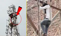 Budaun News: प्रेमिका से शादी की जिद में 200 फीट ऊंचे मोबाइल टावर पर चढ़ा युवक, तीन घंटे बाद पुलिस ने उतारा