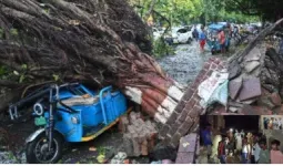 फिरोजाबाद में आंधी का कहर: ई-रिक्शा पर गिरा नीम का पेड़, पांच लोगों की दर्दनाक मौत