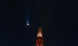 विश्व पर्यावरण दिवस पर गोडावण संरक्षण का संदेश, कुतुब मीनार पर दिखी ग्रेट इंडियन बस्टर्ड की प्रेरक कहानी