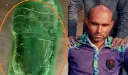 हरदोई: सांप के डसने के बाद जिंदा सांप को बोतल में लेकर मेडिकल कॉलेज पहुंचा युवक, इलाज के दौरान मौत