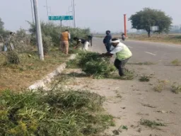 कानपुर : डिवाइडरों पर उगी घास और जमा मिट्टी की सफाई शुरू, नगर निगम का अभियान तेज