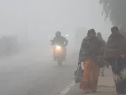 कोहरे–शीतलहर की मार: एमपी में पारा 10 डिग्री से नीचे, 22 जिलों में अलर्ट