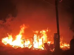 बलिया के बैरिया में भीषण आग से परिवार बेघर, जिंदा जली जर्सी गाय