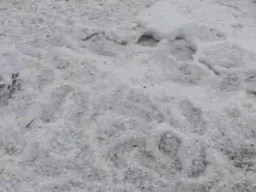 राजस्थान में छह अप्रैल से फिर बदलेगा मौसम, आंधी-बारिश और ओलावृष्टि के आसार