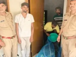 गोरखपुर में एसटीएफ की बड़ी कार्रवाई, 100 प्रतिबंधित तोतों के साथ वन्यजीव तस्कर गिरफ्तार