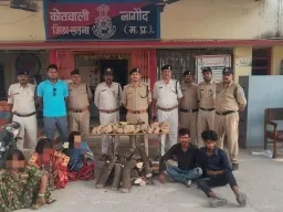 सतना में चंदन चोर गिरोह का पर्दाफाश, 3 महिलाओं समेत 6 गिरफ्तार; 7 वारदातों का खुलासा