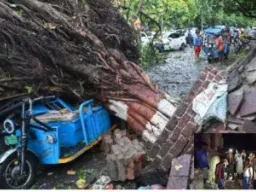फिरोजाबाद में आंधी का कहर: ई-रिक्शा पर गिरा नीम का पेड़, पांच लोगों की दर्दनाक मौत