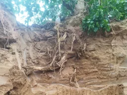 थिंक गैस ने पाइपलाइन क्षति के बाद तेजी से बहाल की गैस आपूर्ति, ‘डायल बिफोर यू डिग’ अभियान पर दिया जोर