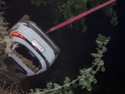 Bihar News : सोन नहर में गिरी सफारी, चार की मौत; एक घायल