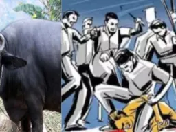 जौनपुर में भैंस बांधने को लेकर खूनी संघर्ष: दो पक्षों में चले लाठी-डंडे, एक की मौत; चार आरोपी गिरफ्तार