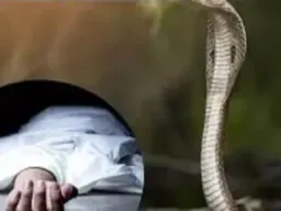Ballia News: जमीन पर सो रही 13 वर्षीय किशोरी को सांप ने डसा, अस्पताल पहुंचने से पहले मौत