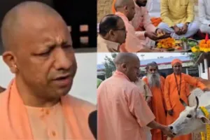 CM योगी ने गोरखनाथ मंदिर में की गोवर्धन पूजा, गायों को खिलाया गुड़-चना, दी शुभकामनाएं