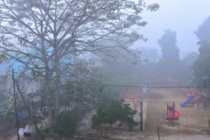 Moradabad News: सुबह कोहरे की चादर, दिन में धूप से मिली राहत