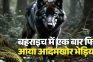 UP News : मां की गोद से बच्ची को उठा ले गया आदमखोर भेड़िया, ताबड़तोड़ तीसरी वारदात से दहशत