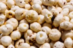 लखनऊ : मखाना की खेती में बिहार को टक्कर देने की तैयारी में उत्तर प्रदेश