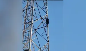 बलिया में प्रेमी से शादी की मांग पर युवती मोबाइल टॉवर पर चढ़ी, डेढ़ घंटे बाद उतरी
