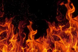 Ghaziabad News : परफ्यूम फैक्ट्री में भीषण आग, 12 दमकल गाड़ियों ने पाया काबू