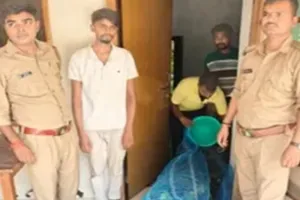 गोरखपुर में एसटीएफ की बड़ी कार्रवाई, 100 प्रतिबंधित तोतों के साथ वन्यजीव तस्कर गिरफ्तार