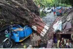 फिरोजाबाद में आंधी का कहर: ई-रिक्शा पर गिरा नीम का पेड़, पांच लोगों की दर्दनाक मौत