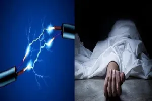 Ballia News : पेड़ पर लकड़ी काटने चढ़े बुजुर्ग की करंट लगने से मौत, परिवार में मचा कोहराम