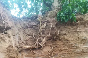 थिंक गैस ने पाइपलाइन क्षति के बाद तेजी से बहाल की गैस आपूर्ति, ‘डायल बिफोर यू डिग’ अभियान पर दिया जोर