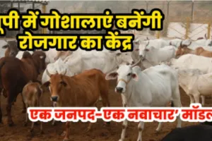 UP News: गोशालाओं से बढ़ेगा रोजगार, हर जिले में विकसित होगा अलग गो-आधारित उद्योग