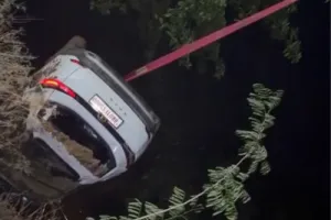 Bihar News : सोन नहर में गिरी सफारी, चार की मौत; एक घायल